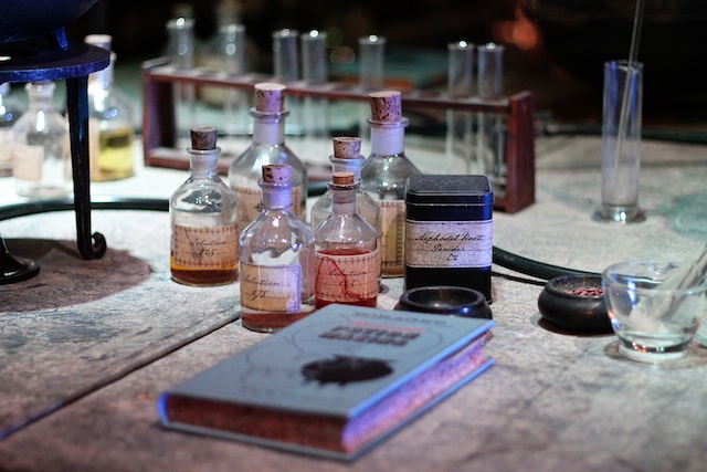 Harry Potter potions class | Two Delighted