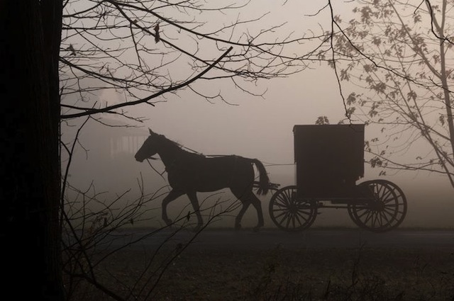 Halloween 2013 carriage