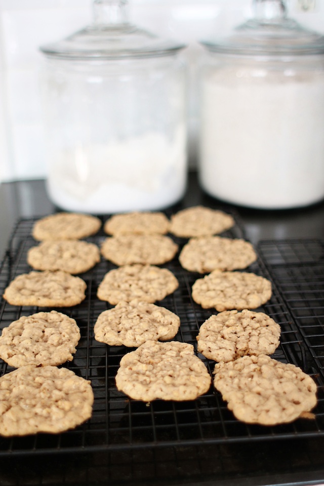 oatmeal pumpkin cookies row Two Delighted